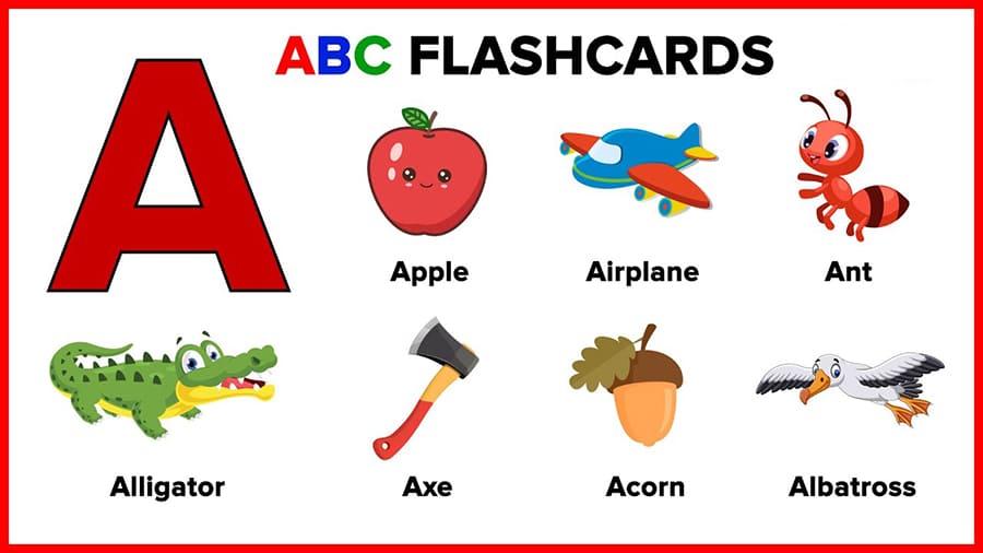 The flashcards1